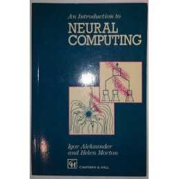 Introduction to Neural Computing, An by Morton, Helen Book