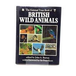 The National Trust Book of British Wild Animals Hardback Book  Fast