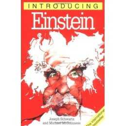 Introducing Einstein by Schwartz, Joseph Paperback Book