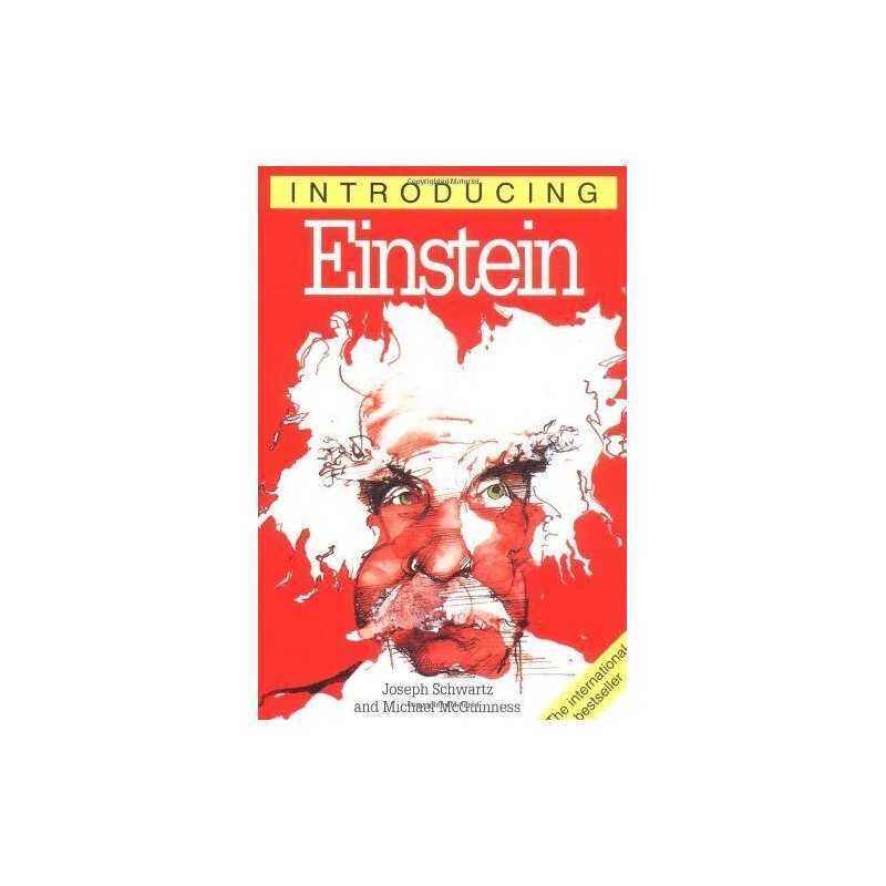 Introducing Einstein by Schwartz, Joseph Paperback Book