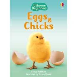 Eggs and Chicks (Usborne Beginners) by Patchett, Fiona Hardback Book