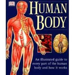 Human Body: An Illustrated Guide To Every Part Of The Human Body An... Paperback
