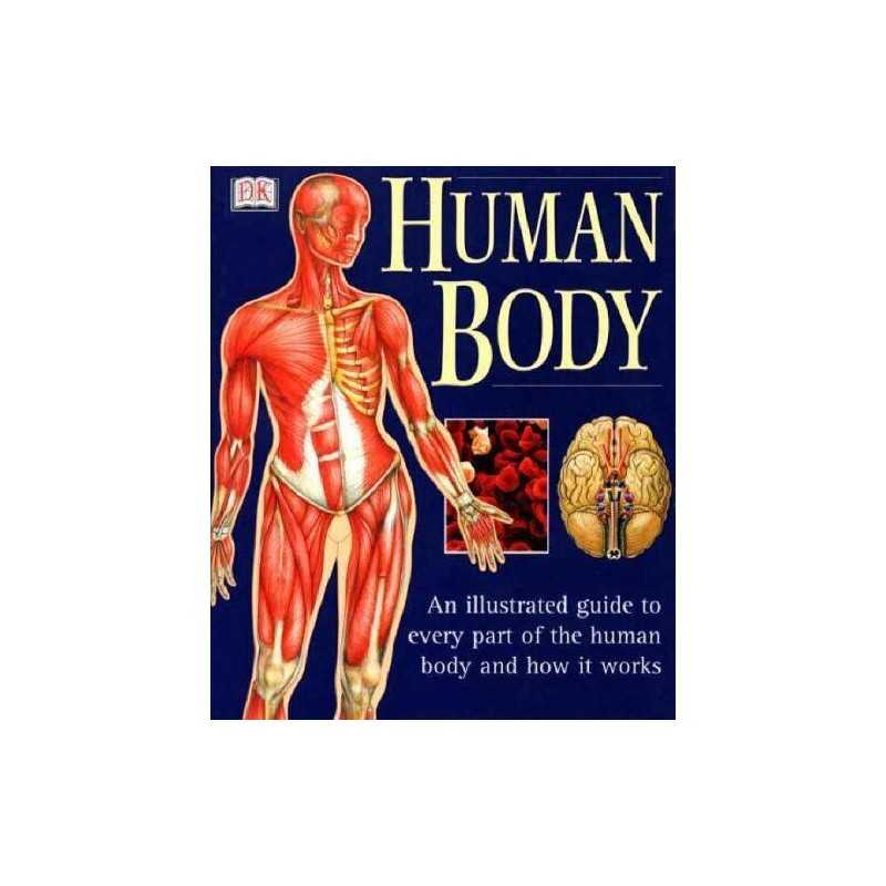 Human Body: An Illustrated Guide To Every Part Of The Human Body An... Paperback