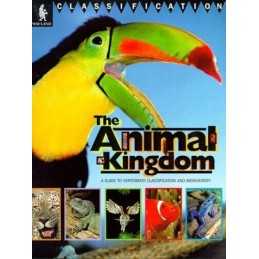 Classification Animal Kingdom by Whyman, Kate Hardback Book