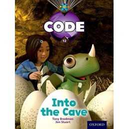 Project X Code: Dragon Into the Cave by Joyce, Marilyn Book