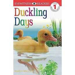 DK Readers L1: Duckling Days (DK Readers Level 1) by Wallace, Karen Book The