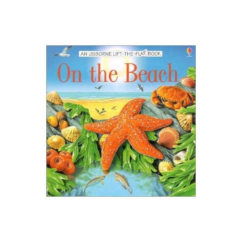 On the Beach (Usborne Life-The-Flap Book) by Howell, Laura Book  Fast