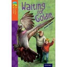Oxford Reading Tree TreeTops Fiction: Level 13: Waiting for G... by Gates, Susan