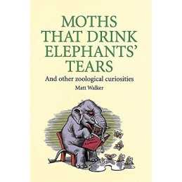 Moths That Drink Elephants Tears: And other zoologi... by Walker, Matt Hardback