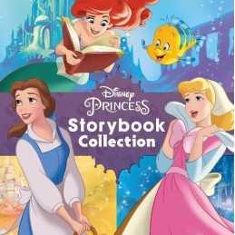 Disney Princess Storybook Collection by Parragon Books Ltd Book  Fast