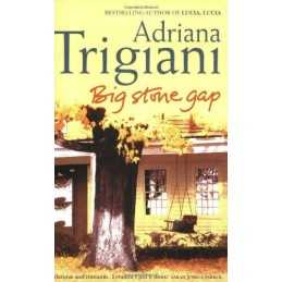 Big Stone Gap (Big Stone Gap Saga 1) by Trigiani, Adriana Paperback Book The