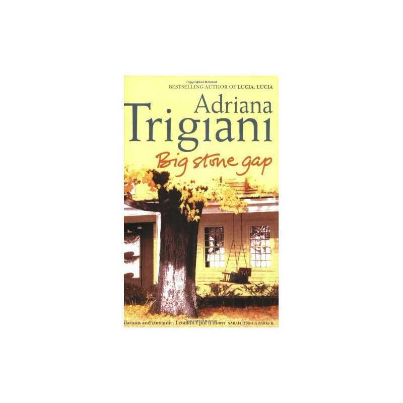 Big Stone Gap (Big Stone Gap Saga 1) by Trigiani, Adriana Paperback Book The