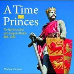 A Compact Wales: Time for Princes by Michael Senior Book