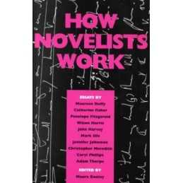 How Novelists Work by Maura Dooley Paperback Book