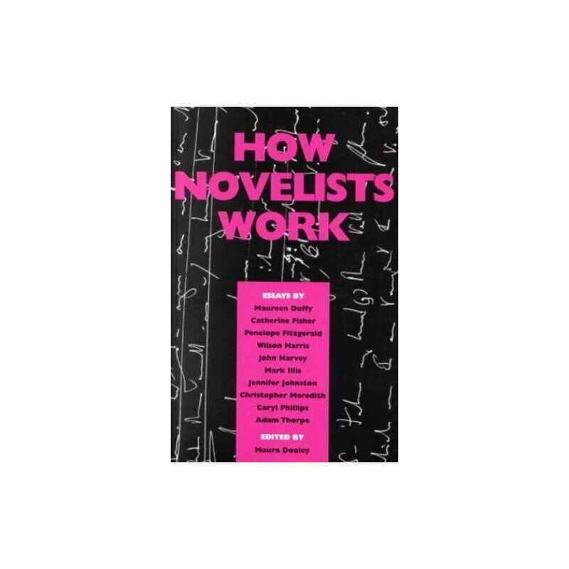 How Novelists Work by Maura Dooley Paperback Book
