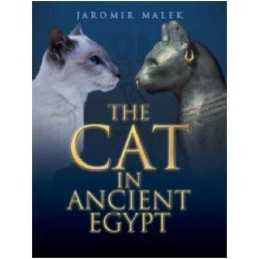The Cat in Ancient Egypt by Jaromir Malek Paperback Book