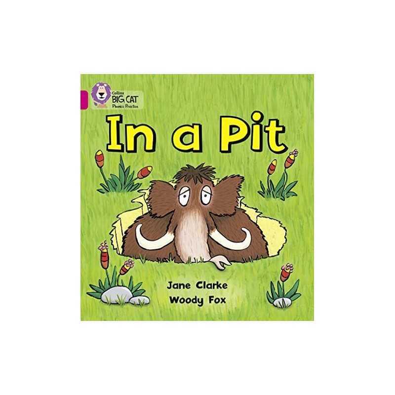 In a Pit: Band 01A/Pink A (Collins Big Cat Phoni... by Collins Big Cat Paperback