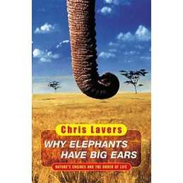 Why Elephants Have Big Ears: Understanding Pattern... by Lavers, Chris Paperback