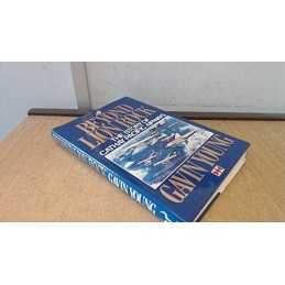 Beyond Lion Rock: Story of Cathay Pacific Airways by Young, Gavin Hardback Book