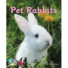 Pet Rabbits: Phonics Phase 3 (Reading St..., Jones Cath