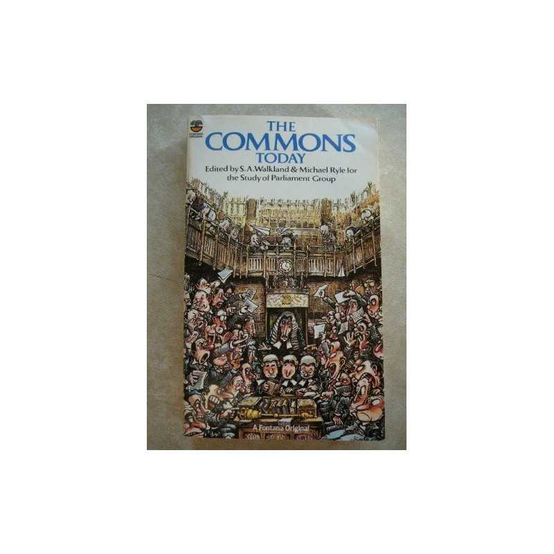 The Commons Today