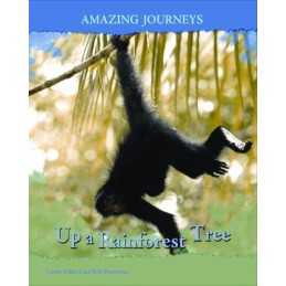 Up a Rainforest Tree (Amazing Journe..., Theodorou, Rod