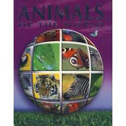 Animals (Q & A Reference S.) Paperback Book