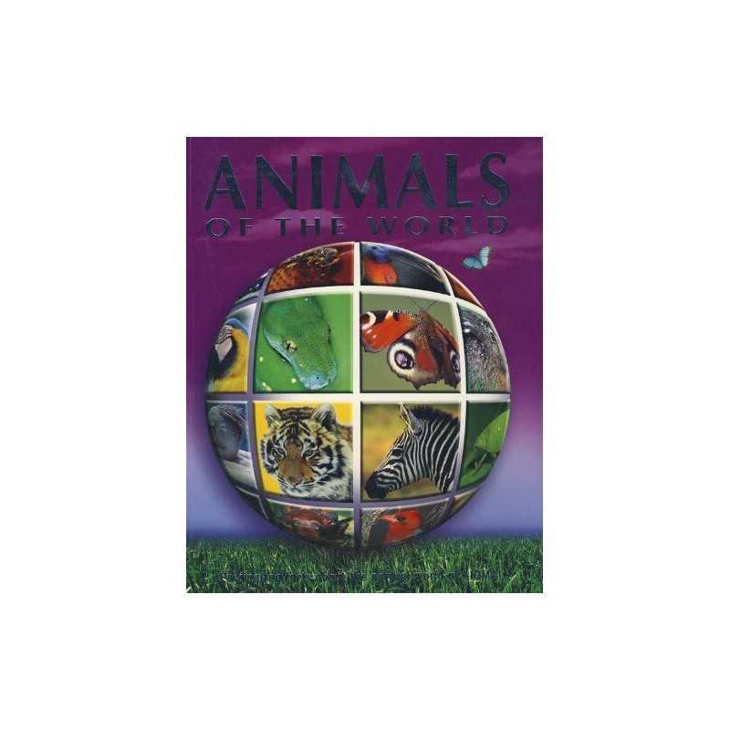 Animals (Q & A Reference S.) Paperback Book