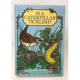 Is a Caterpillar Ticklish?