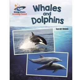 Reading Planet - Whales and Dolphins - ..., Webb, Sarah