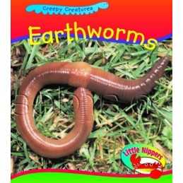 Earthworms (Little Nippers: Creepy Creatures) by Sue Barraclough Hardback Book