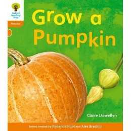 Oxford Reading Tree: Level 6: Floppys Phonics No... by Hunt, Roderick Paperback