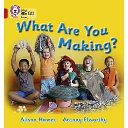 What Are You Making?: A non-fiction b..., Hawes, Alison