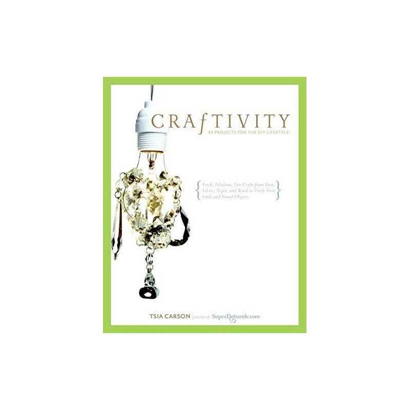 Craftivity: 40 Projects for the DIY Lifestyle by Carson, Tsia Paperback Book The