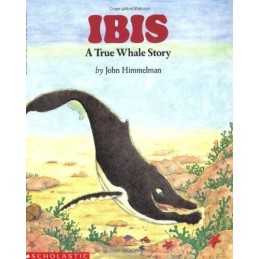 Wiggleworks Stage D - Ibis: a True ..., Kimmelman, John