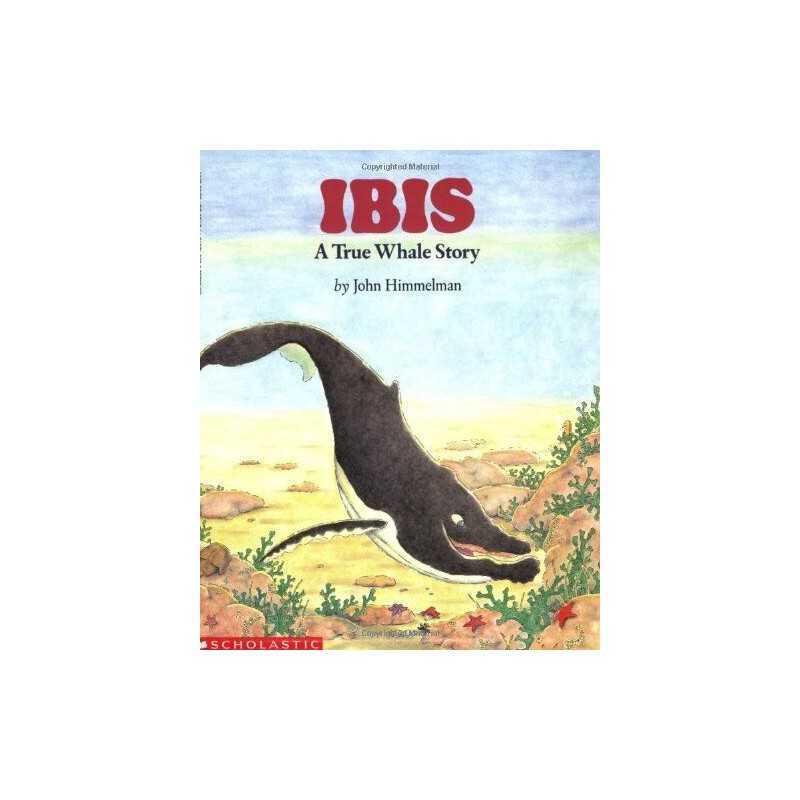 Wiggleworks Stage D - Ibis: a True ..., Kimmelman, John