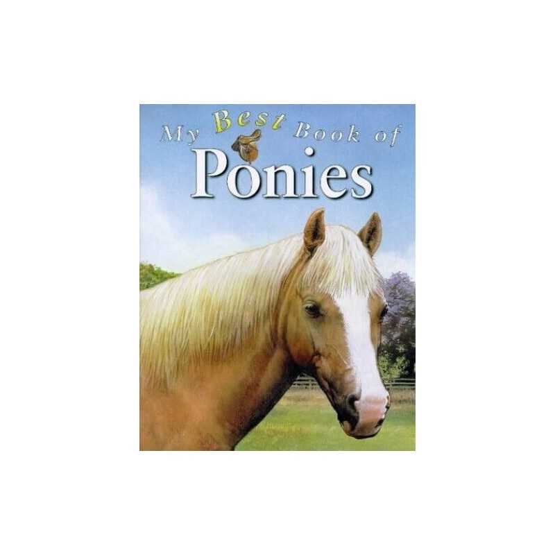 My Best Book of Ponies by Budd, Jackie Hardback Book