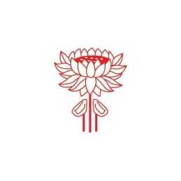 Oriental Rugs: A Buyers Guide by Allane, Lee Hardback Book