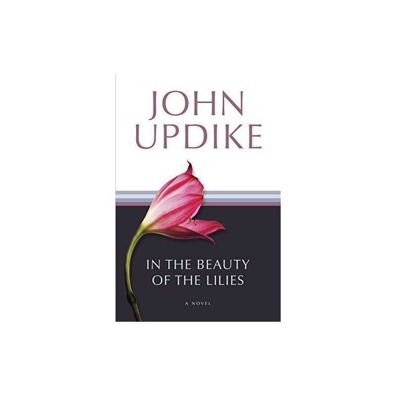 In the Beauty of the Lilies by Updike, John Book