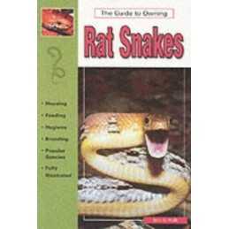 Rat Snakes, Walls, Jerry G.