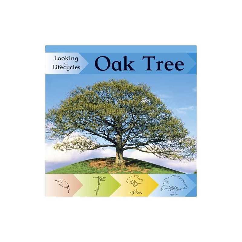 Oak Tree (Looking at Lifecycles), Huseby, Victoria