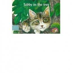 PM Blue Set 2 Fiction Level 10 (8): Tabby in the Tr... by Randell, Beverley Book