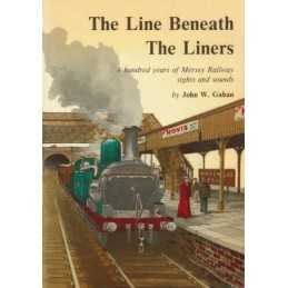 The Line Beneath the Liners by Gahan, John W. Paperback Book