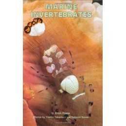 Marine Invertebrates, Home Aquarium, U.Erich Friese