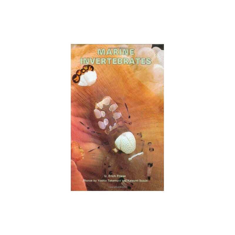 Marine Invertebrates, Home Aquarium, U.Erich Friese