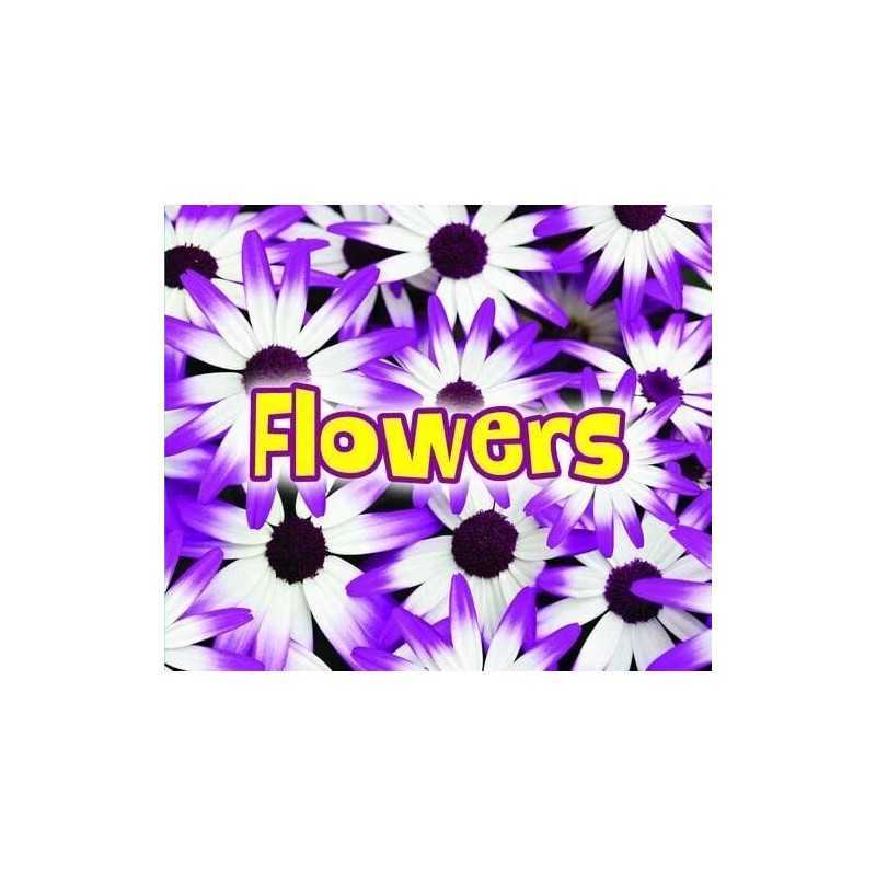 All About Flowers (All About Plants), Claire Throp