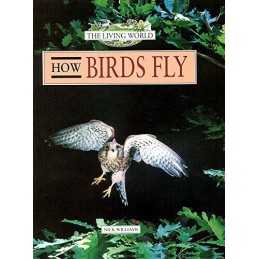 How Birds Fly (Living World) by Williams, N Hardback Book