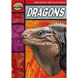 Rapid Stage 2 Set B: Dragons (Series 1) (RAPID S... by Karavis, Sylvia Paperback