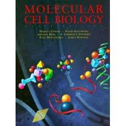 Molecular Cell Biology by Matsudaira, Paul Hardback Book