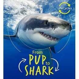Lifecycles - Pup To Shark, de la Bedoyere, Camilla